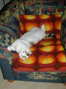 Das ist MEIN Sessel